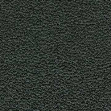 Sierra-1056 forest green